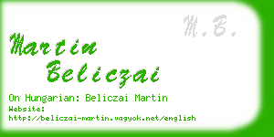 martin beliczai business card